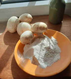 ادویه قارچ وخامه ۱۰۰ گرمی