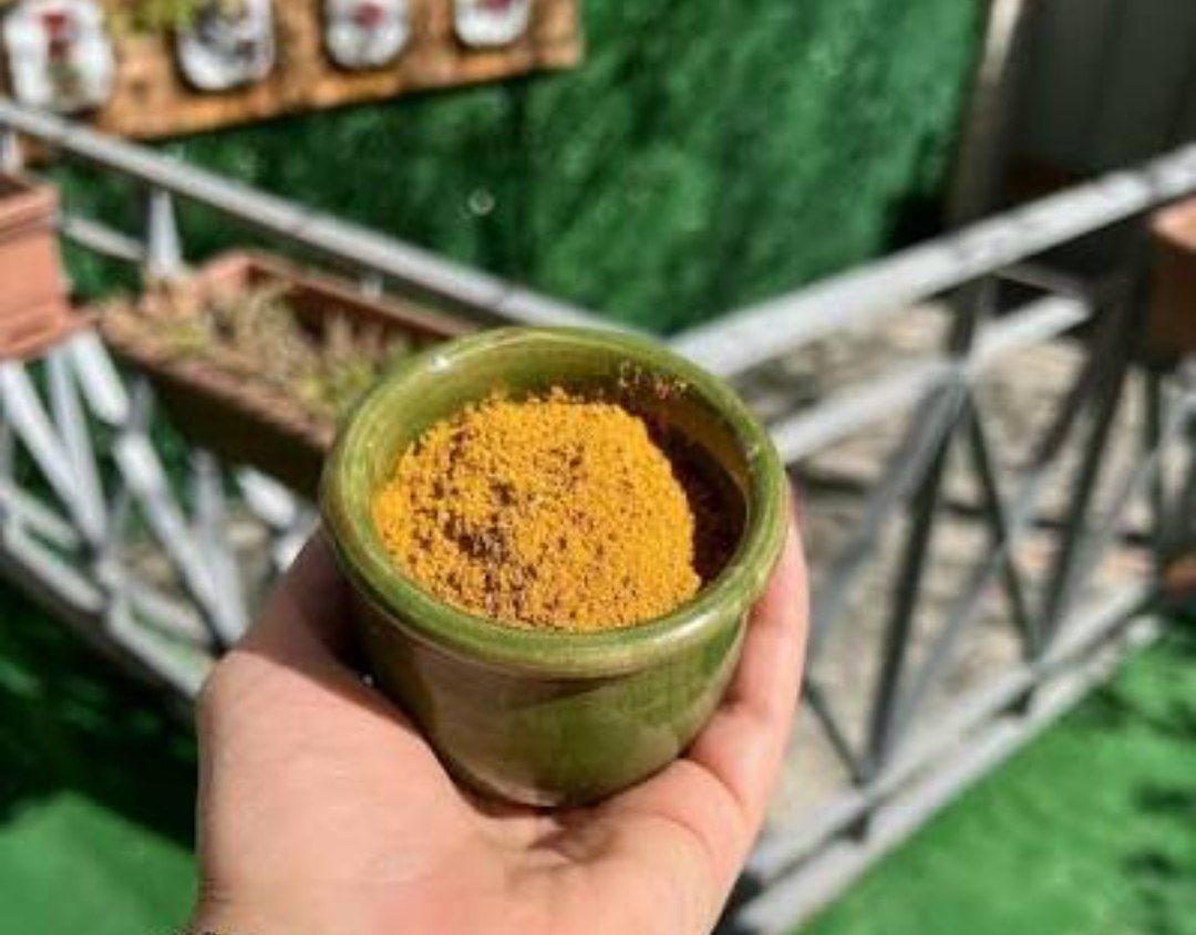 ادویه چاشنی سالسا ۱۰۰ گرمی