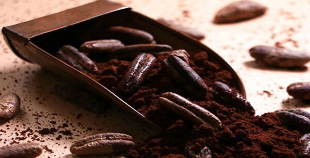 قهوه هسته خرما ۲۵۰ گرمی