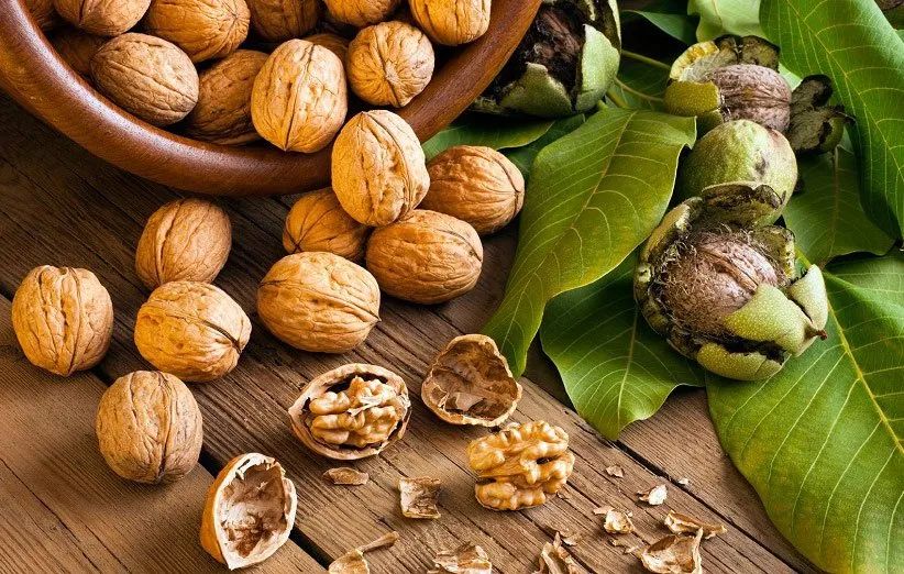 گردو پوست کاغذی یک کیلویی