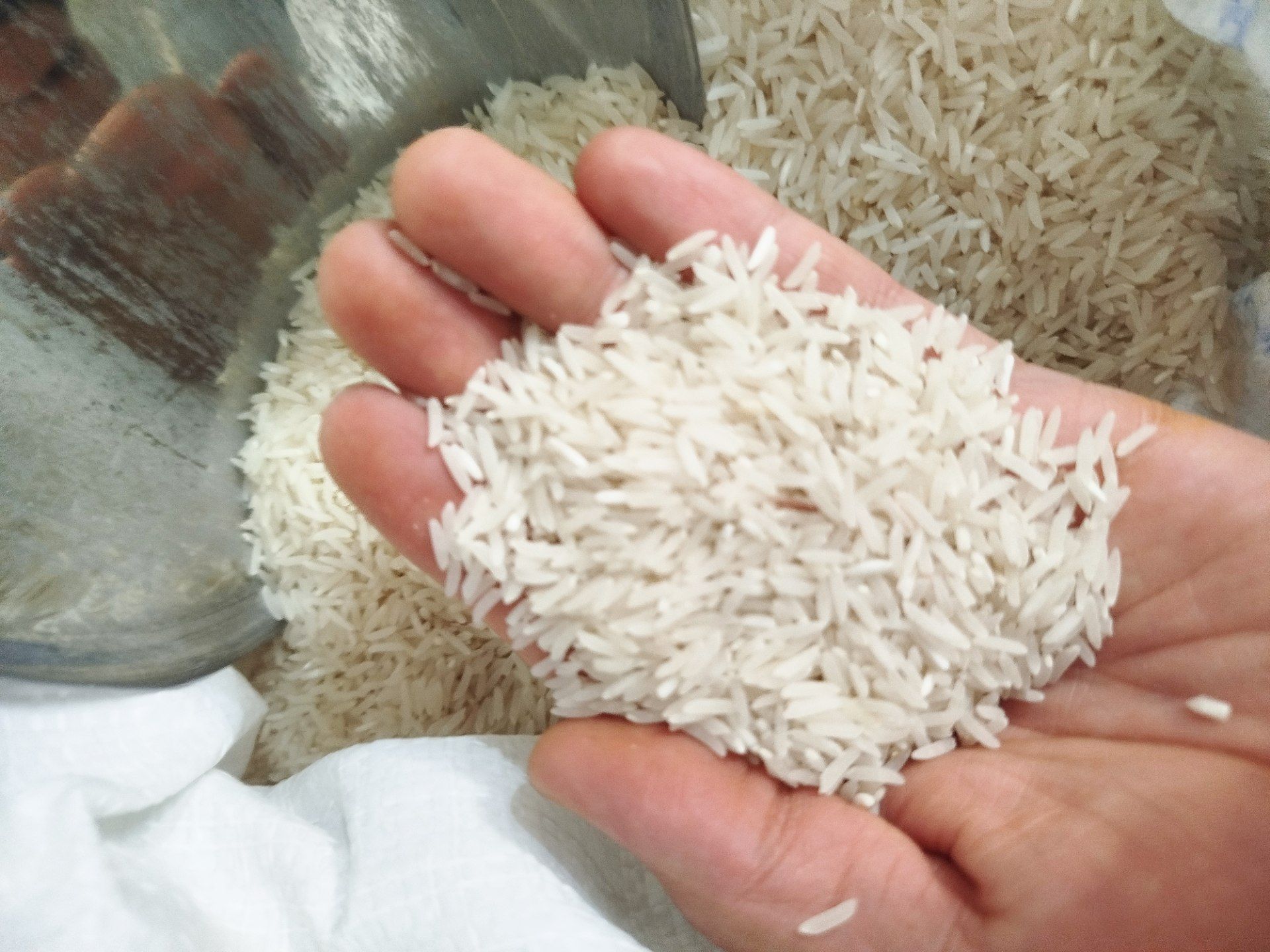 برنج طارم شمشیری اعلا ۱۰ کیلویی