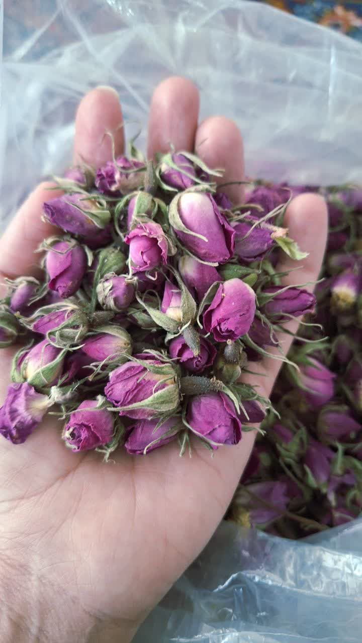 گل محمدی غنچه امسالی ۵۰ گرمی