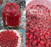 رب رغال اخته ۹۰۰ گرمی