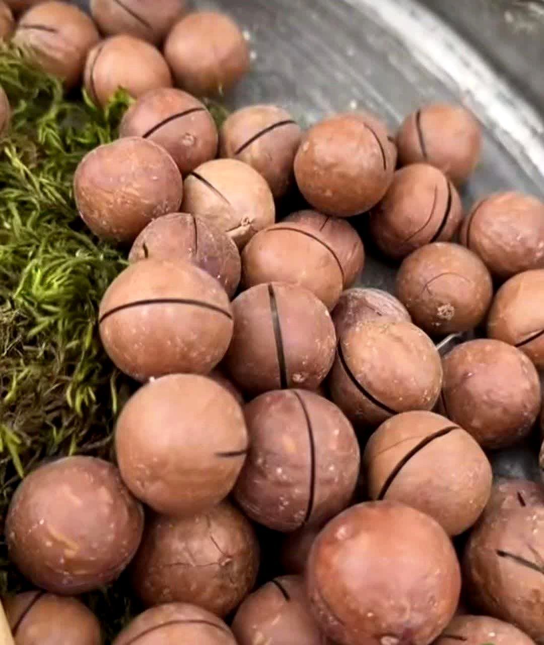 فندق استرالیایی یک کیلویی