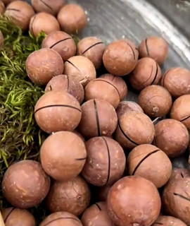 فندق استرالیایی یک کیلویی