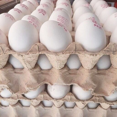 تخم مرغ تازه