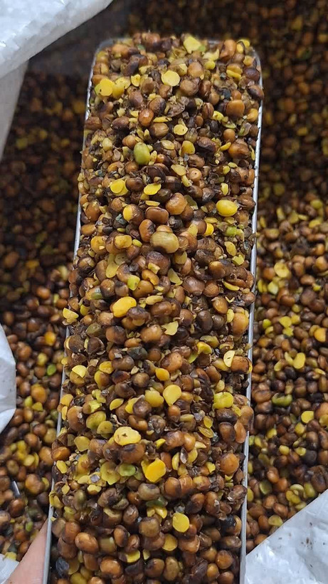 مغزبنه (( مغزپسته کوهی )) ۲۵۰ گرمی