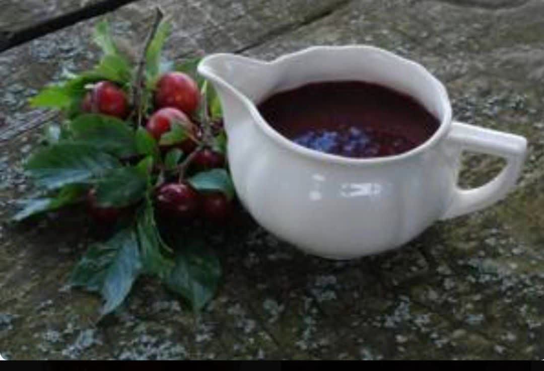 رب آلوچه جنگلی ۴۵۰ گرمی